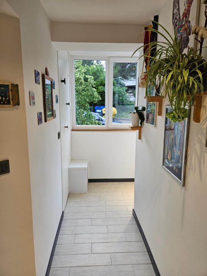 Apartman Carnevalus Риека Экстерьер фото