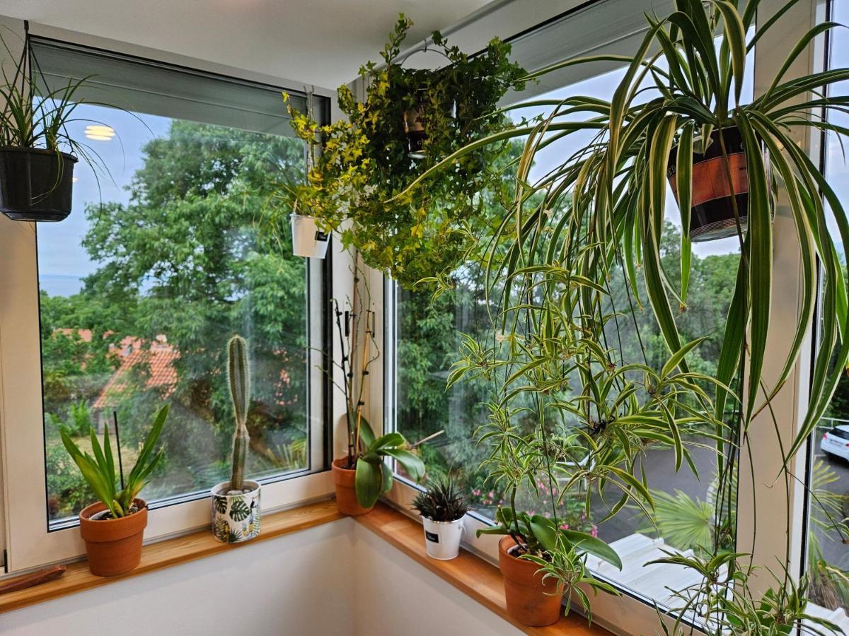 Apartman Carnevalus Риека Экстерьер фото